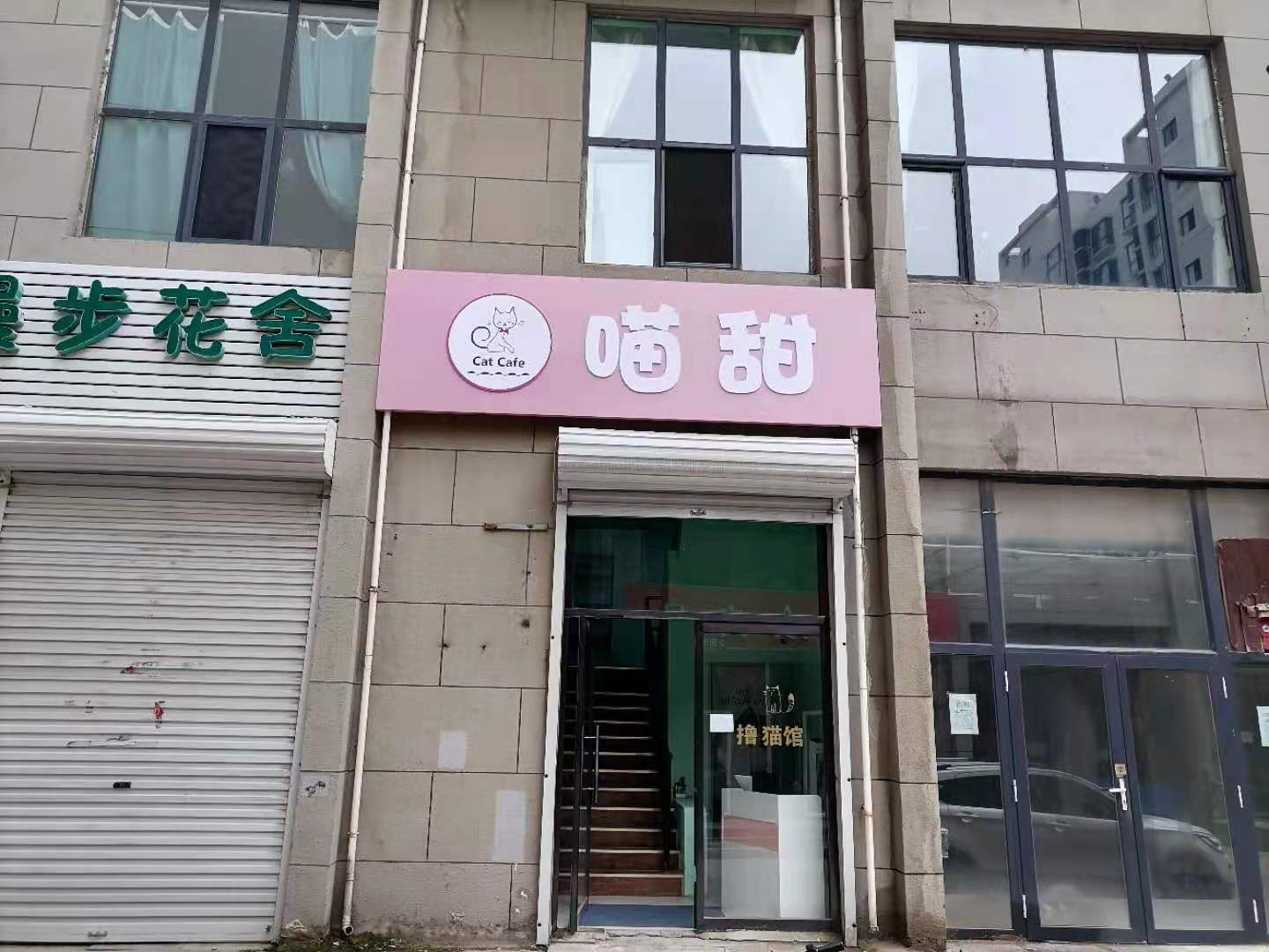 发现了一家能撸猫的咖啡店4990 作者:长海 帖子ID:12485 发现,一家,咖啡,咖啡店