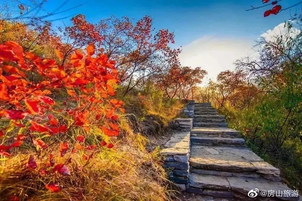 别去香山了！！秋天Zui美红叶，都在这里了！固安人赶紧收藏！1081 作者:白雪霸霸 帖子ID:21380 别去,香山,北京,秋天,红叶