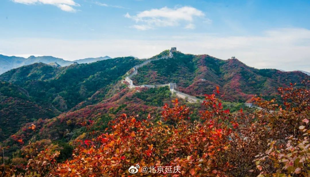 别去香山了！！秋天Zui美红叶，都在这里了！固安人赶紧收藏！4500 作者:白雪霸霸 帖子ID:21380 别去,香山,北京,秋天,红叶