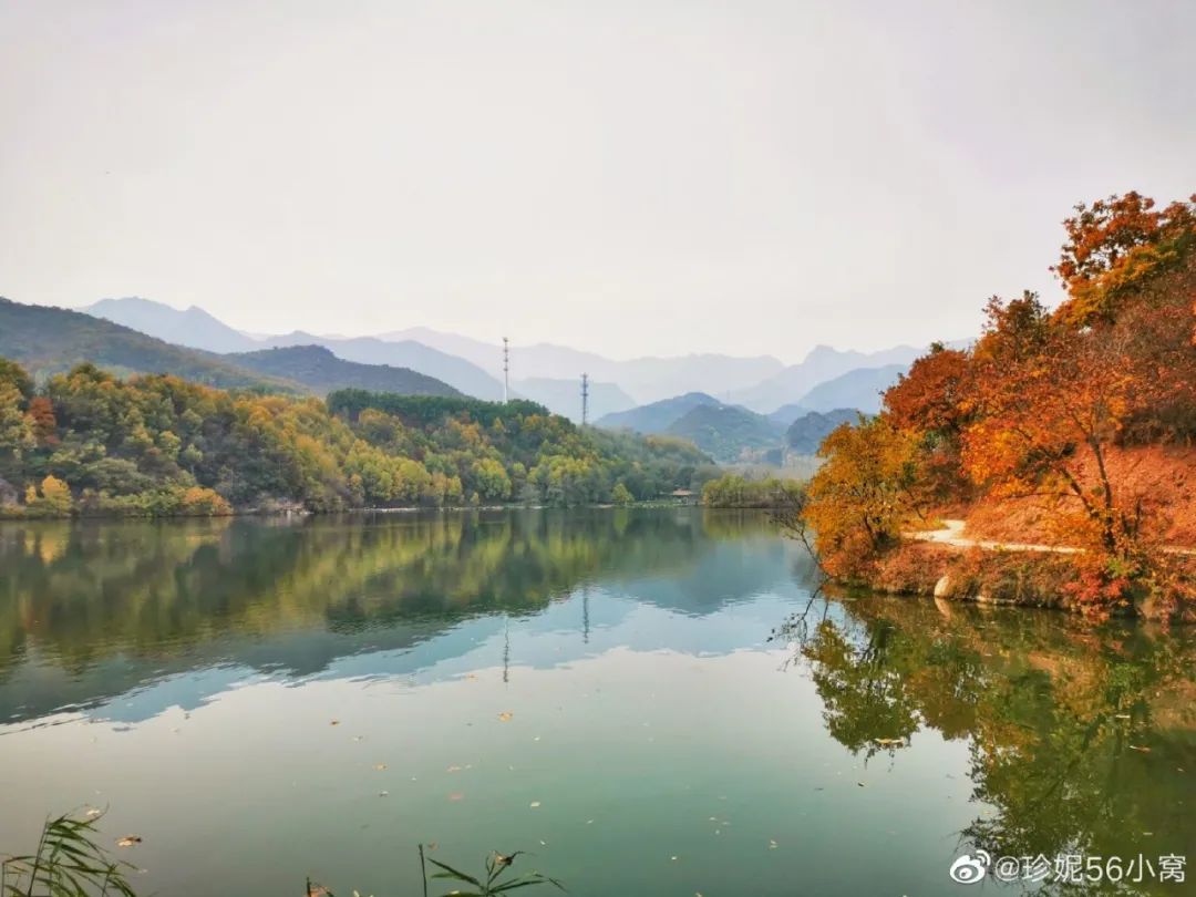 别去香山了！！秋天Zui美红叶，都在这里了！固安人赶紧收藏！3304 作者:白雪霸霸 帖子ID:21380 别去,香山,北京,秋天,红叶