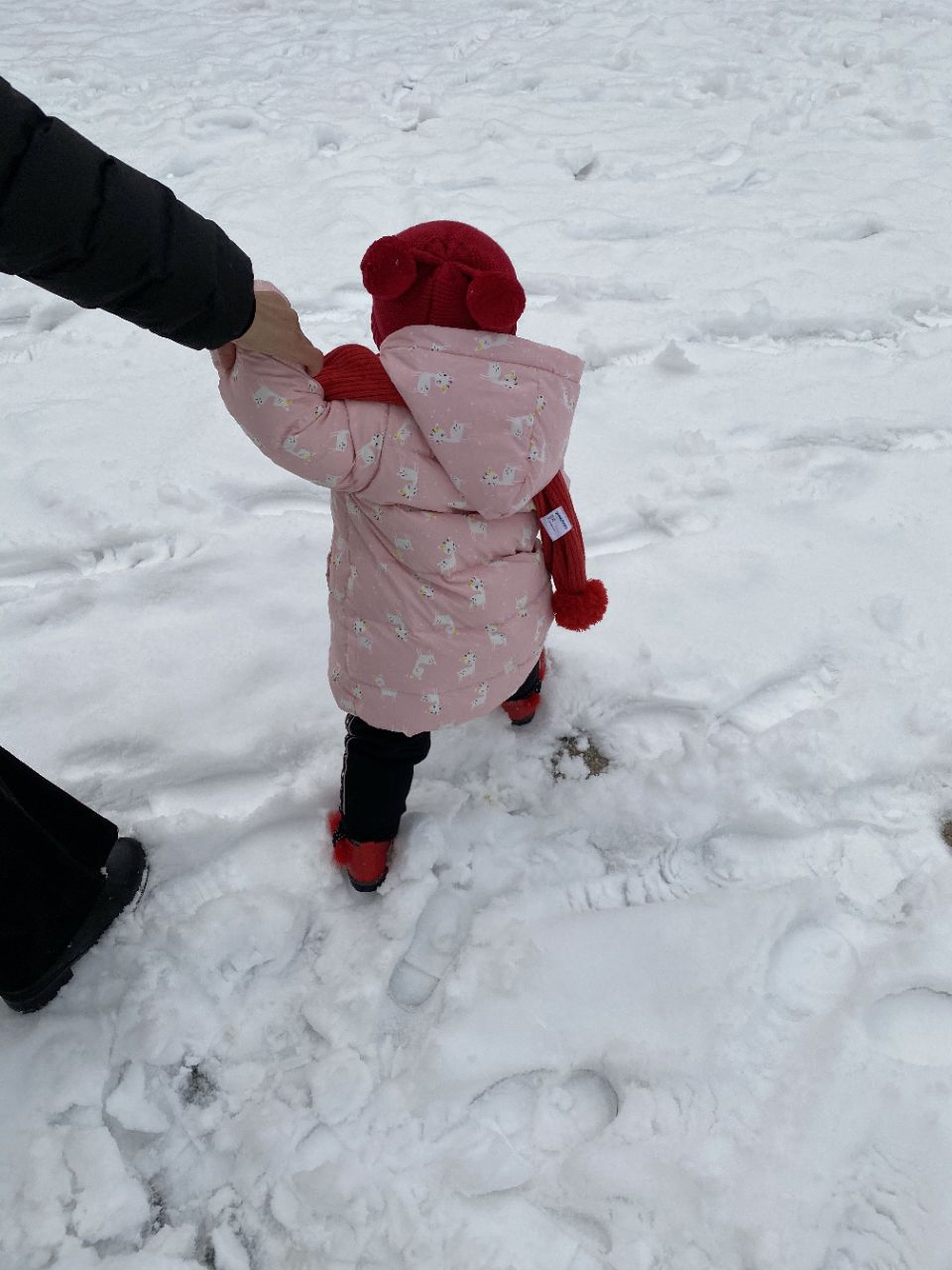 【固嫩八点半】今晚固安或迎初雪！一人说一个和下雪有关的趣事吧！217 作者:楼上看风景 帖子ID:25969 八点半,今晚,固安,初雪,一人