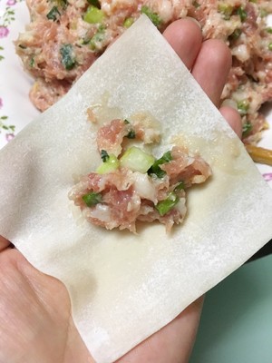 早餐  抄手6981 作者:莹小胖 帖子ID:45341 早餐,抄手