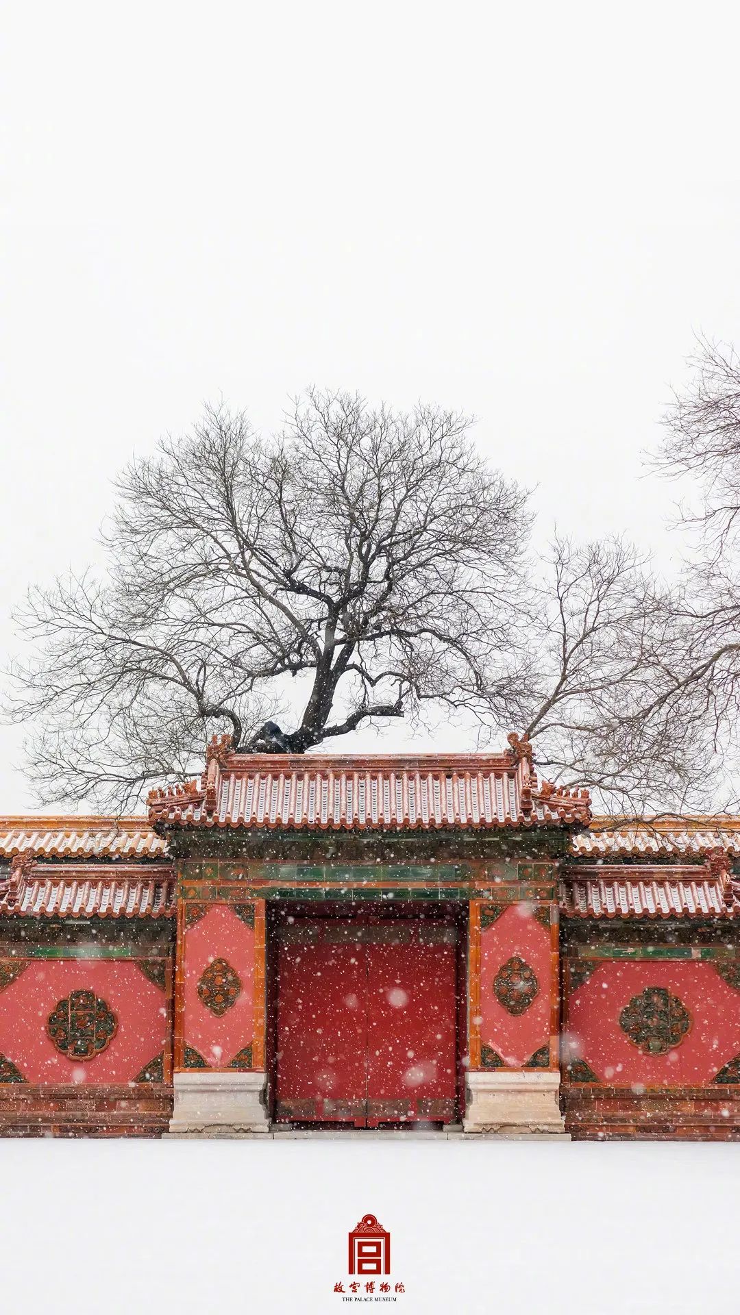 雪雪雪！故宫最新雪景照来了2675 作者:牛眼看世界 帖子ID:49038 北京