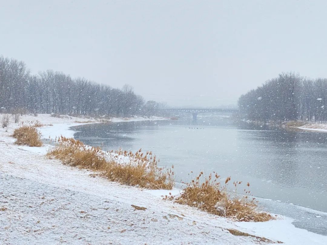 雪雪雪！故宫最新雪景照来了3268 作者:牛眼看世界 帖子ID:49038 北京