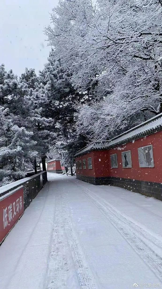 雪雪雪！故宫最新雪景照来了4391 作者:牛眼看世界 帖子ID:49038 北京