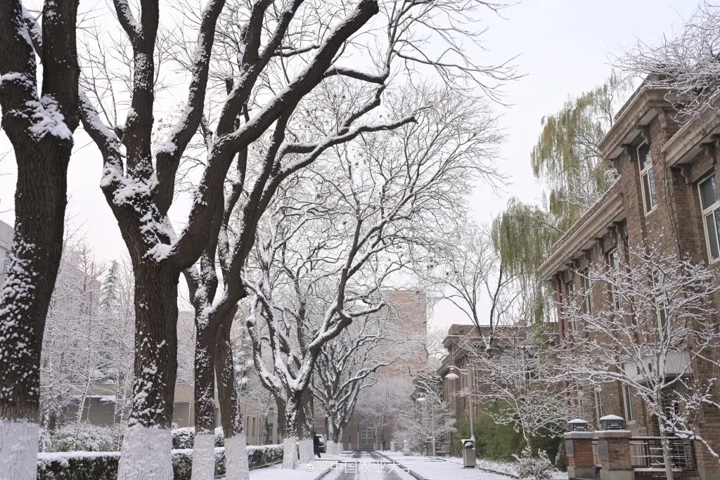 雪雪雪！故宫最新雪景照来了7893 作者:牛眼看世界 帖子ID:49038 北京