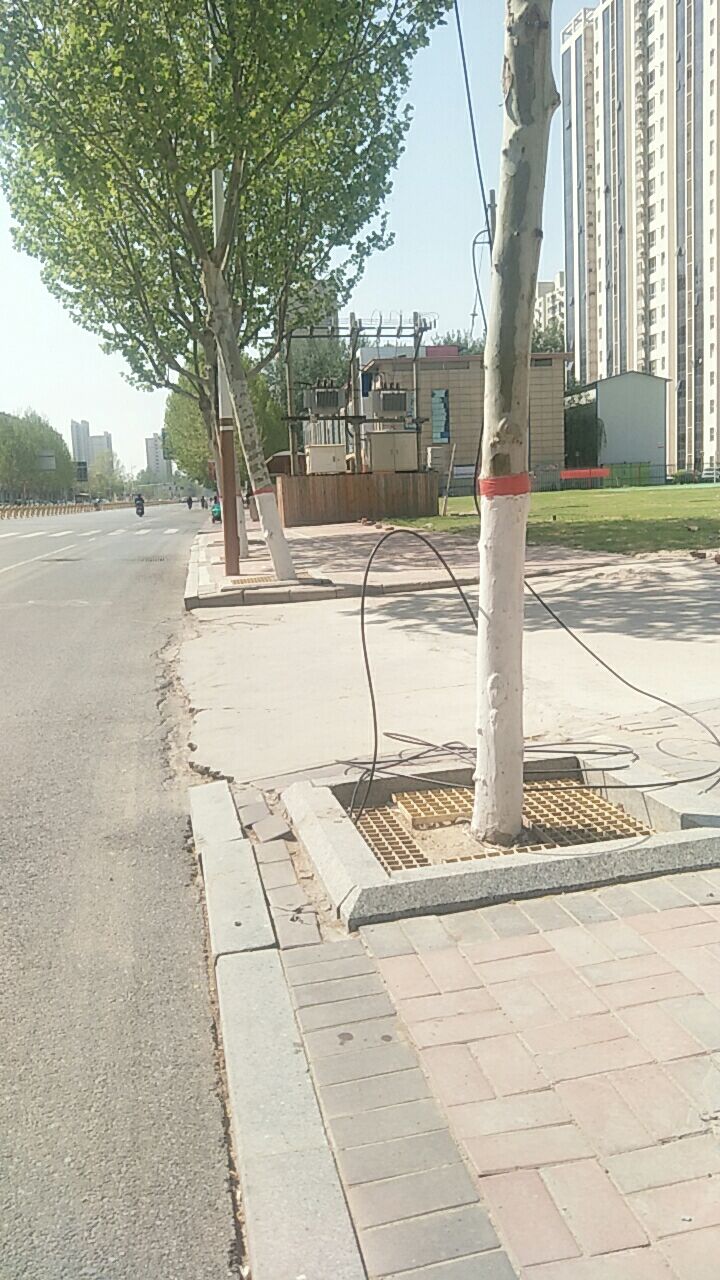 新昌西街路北线缆脱落，官方：已处理8268 作者:客服-布丁 帖子ID:71895 新昌,西街,线缆,脱落,官方