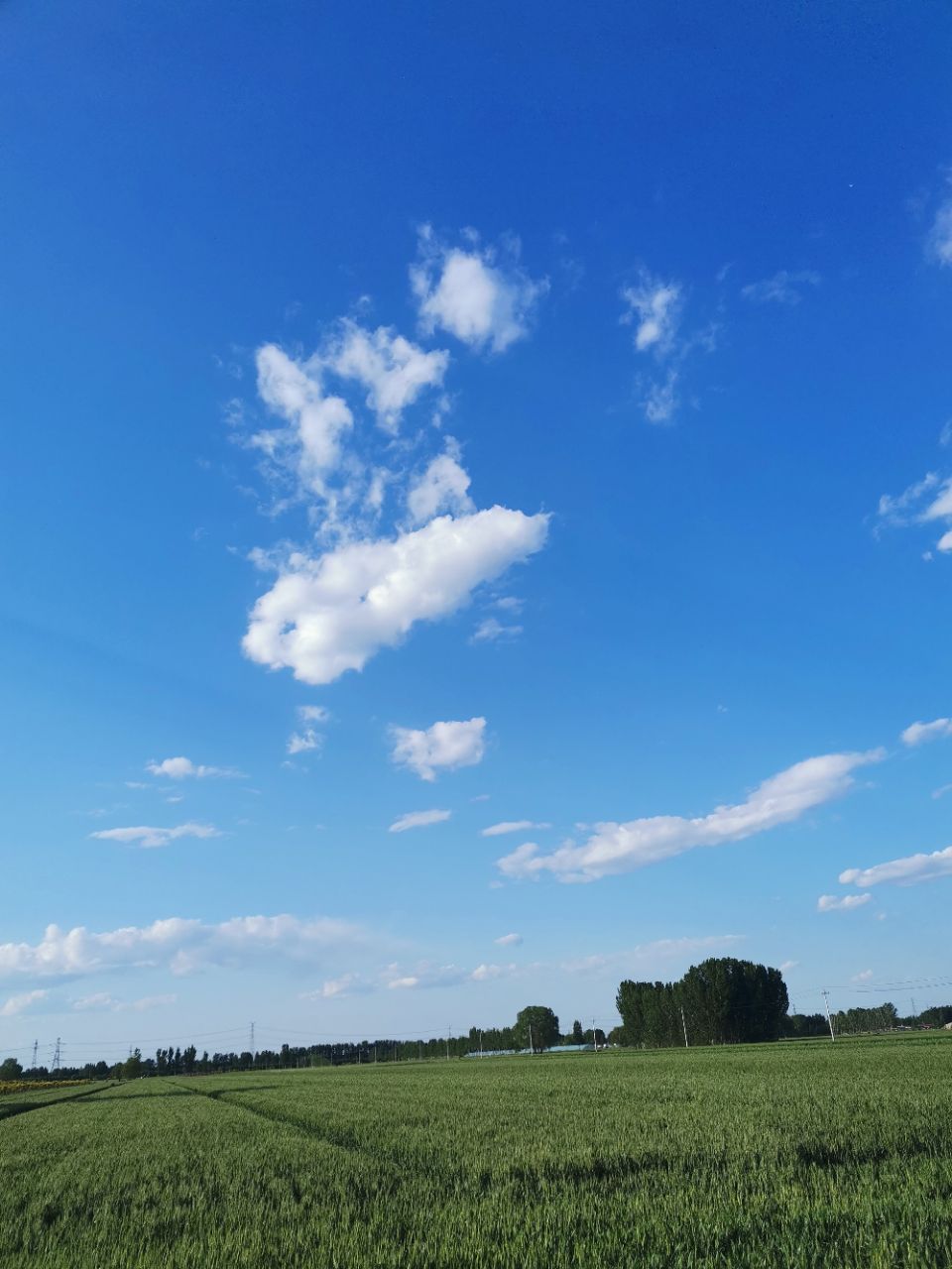 【晚8点红包】今天固安的天空格外的蓝！晒出你镜头下记录的固安的蓝天！65 作者:张欢。 帖子ID:79802 