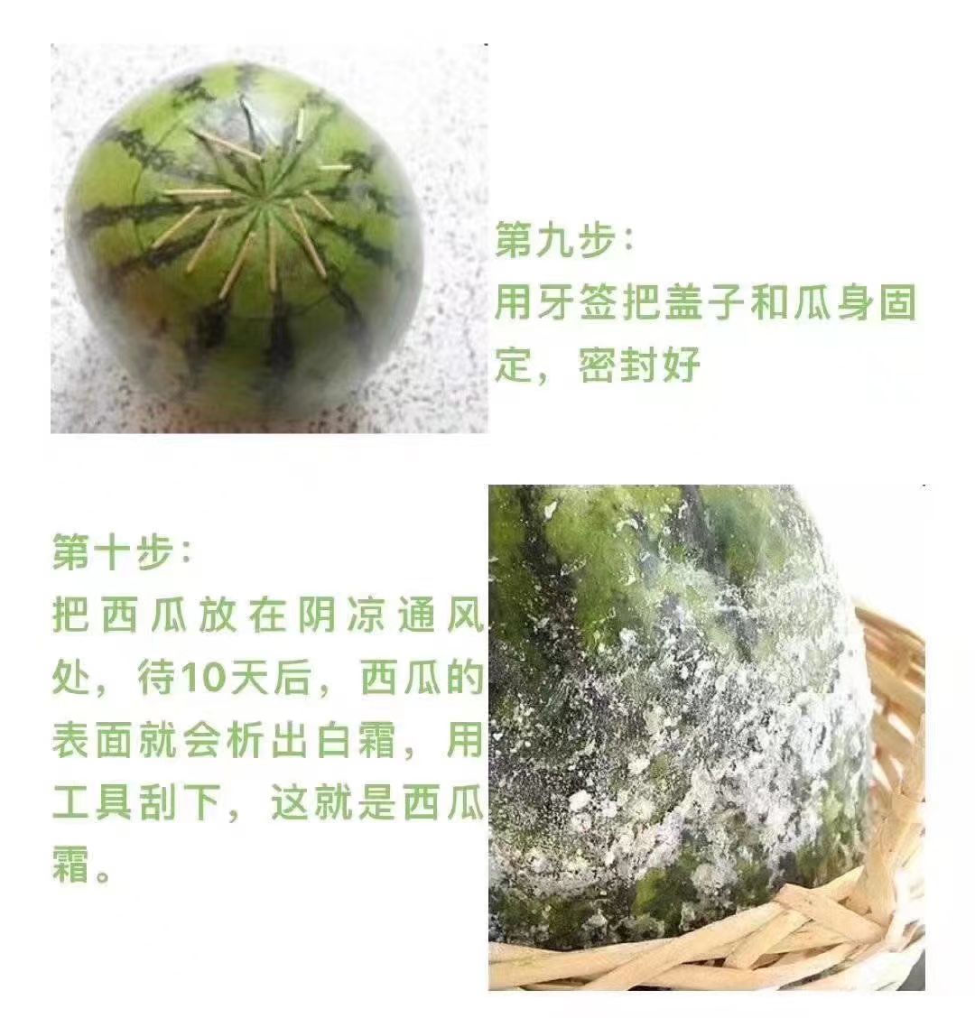 涨知识了！西瓜霜！竟然！真的是用西瓜做的！4605 作者:夜淋雨 帖子ID:86779 涨知识,知识,西瓜霜,竟然,真的