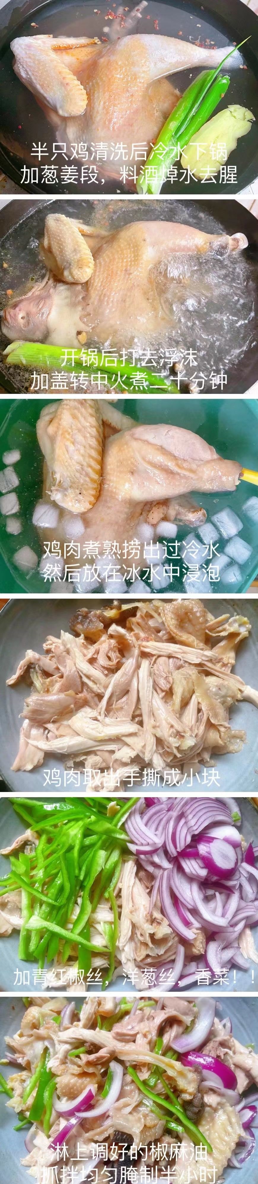 看了流口水的椒麻鸡，吃着根本停不下来！喜欢吃椒麻鸡的朋友可以试一...2337 作者:嚯嚯嚯嚯 帖子ID:88441 看了,椒麻鸡,吃着,根本,停不下来