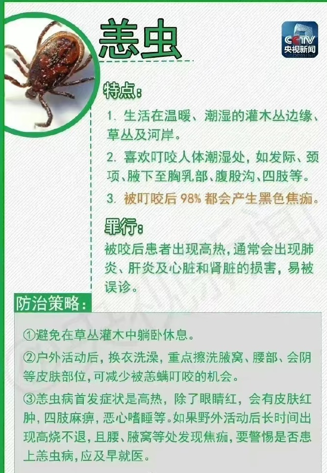 可怕！男子被蜘蛛咬后手臂肿得发亮进ICU9675 作者:风筝～ 帖子ID:102430 可怕,男子,蜘蛛,手臂,发亮