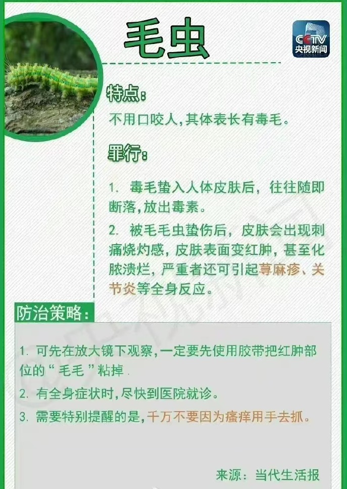 可怕！男子被蜘蛛咬后手臂肿得发亮进ICU8572 作者:风筝～ 帖子ID:102430 可怕,男子,蜘蛛,手臂,发亮