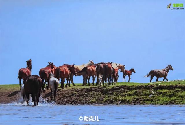 均温才20℃！呼伦贝尔一入夏就美爆了，​这条草原避暑路线一定要去3569 作者:固安攻略 帖子ID:103408 温才,呼伦贝尔,夏就,爆了,草原