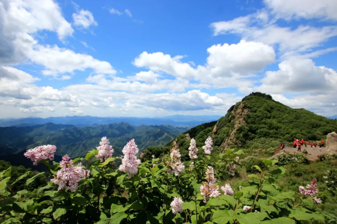 固安人快来打卡！清凉度爆表 ！河北人都爱的“野”式避暑，不来就亏大...360 作者:胡蝶飞 帖子ID:106856 清凉,河北,避暑,不来,大了