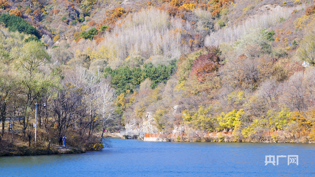 北京玉渡山，彩叶漫山、层林尽染……好一幅壮美山河画卷830 作者:固安攻略 帖子ID:129959 北京,叶漫山,层林尽染,好一,壮美