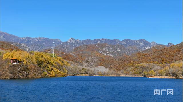 北京玉渡山，彩叶漫山、层林尽染……好一幅壮美山河画卷2379 作者:固安攻略 帖子ID:129959 北京,叶漫山,层林尽染,好一,壮美