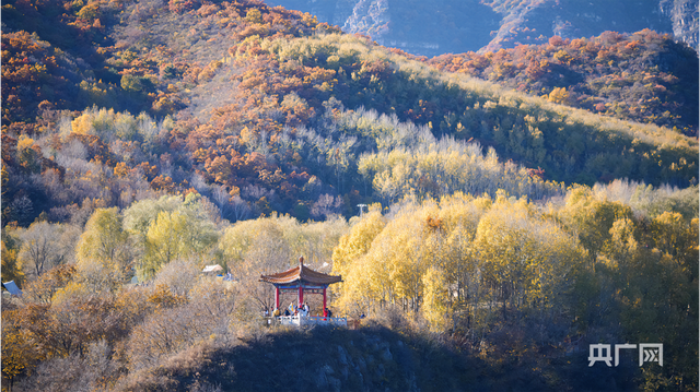 北京玉渡山，彩叶漫山、层林尽染……好一幅壮美山河画卷3531 作者:固安攻略 帖子ID:129959 北京,叶漫山,层林尽染,好一,壮美