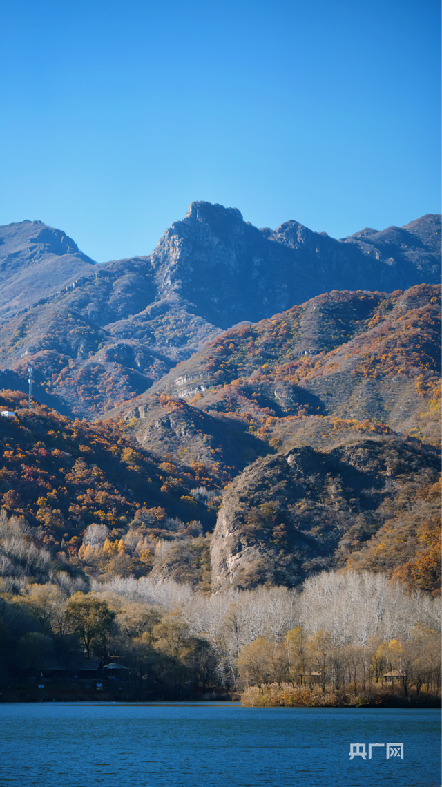 北京玉渡山，彩叶漫山、层林尽染……好一幅壮美山河画卷885 作者:固安攻略 帖子ID:129959 北京,叶漫山,层林尽染,好一,壮美