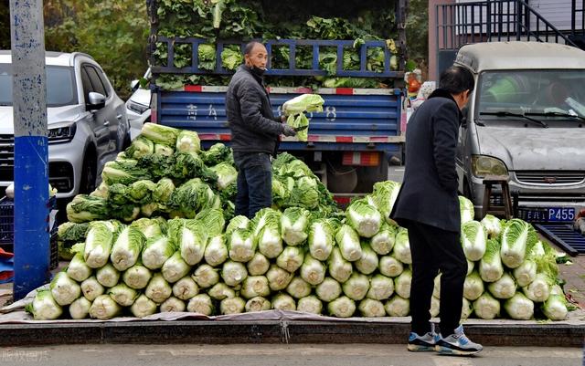 保存白菜很简单，牢记3点，放一冬也新鲜，不烂菜帮不黄叶不长芽8012 作者:北漂宝妈 帖子ID:139327 保存,白菜,很简单,简单,牢记