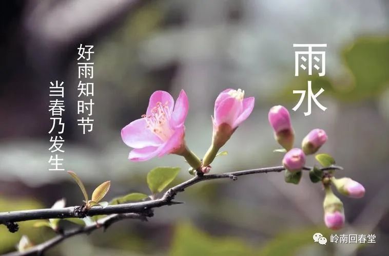 【明日雨水】雨水节气的养生知识8819 作者:一寸月光 帖子ID:180092 明日,节气,养生,养生知识,知识