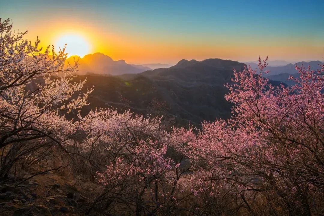 精心整理！野餐、烧烤、踏青...河北十大精致露营地推荐，走起!4091 作者:固安攻略 帖子ID:192631 精心,整理,野餐,烧烤,踏青